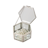 Glass Jewellery Box Silver Hex with Clear Glass (7 x 12 x 10.5cm)