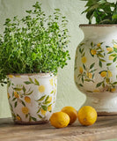 French Country Botanical Lemon Pot Large