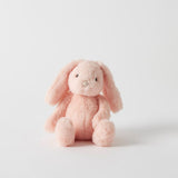 Jiggle & Giggle Bunny Small